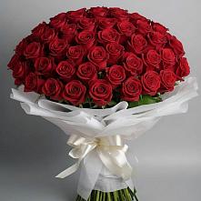 101 Красная роза Блэк Мэджик в Щучье Букет 101 Красная роза Блэк Мэджик в Щучье