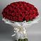 101 Красная роза Блэк Мэджик в Щучье Букет 101 Красная роза Блэк Мэджик в Щучье