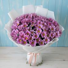 Букет сиреневая охапка в Щучье Букет цветов из:  Хризантемы в Щучье