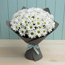 Букет белые хризантемы #REPLACE_PRED# Щучье Букет цветов из:  Хризантемы #REPLACE_PRED# Щучье
