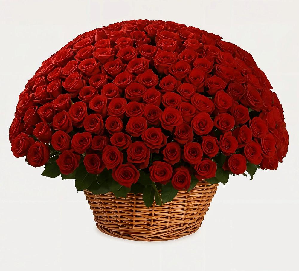 251 Премиум красная роза в Щучье Премиум букет из: Розы в Щучье