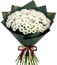 Букет море ромашек в Щучье Букет цветов из:  Хризантемы в Щучье