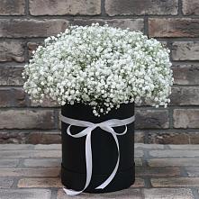 Композиция коробка гипсофил в Щучье Цветочная композиция из Гипсофила в шляпной коробке в Щучье