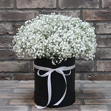 Композиция коробка гипсофил в Щучье Цветочная композиция из Гипсофила в шляпной коробке в Щучье