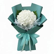 Букет Лёгкое облако в Щучье Букет цветов из:  Гортензия в Щучье